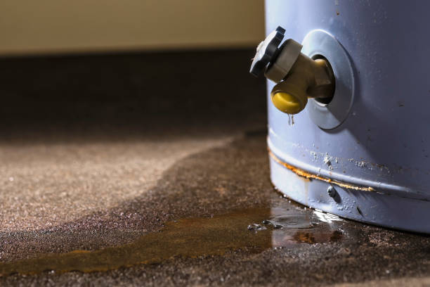 Best Sewage cleanup and water damage restoration  in Golf Manor, OH