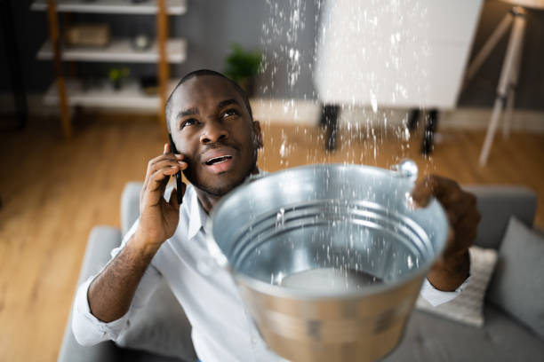 Best 24-hour water damage restoration  in Golf Manor, OH