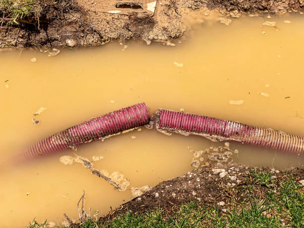Best Flood restoration services  in Golf Manor, OH